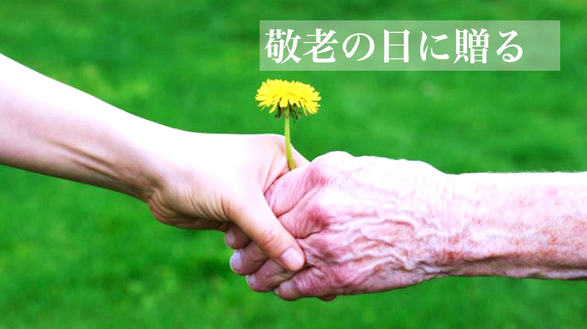 敬老の日ギフト