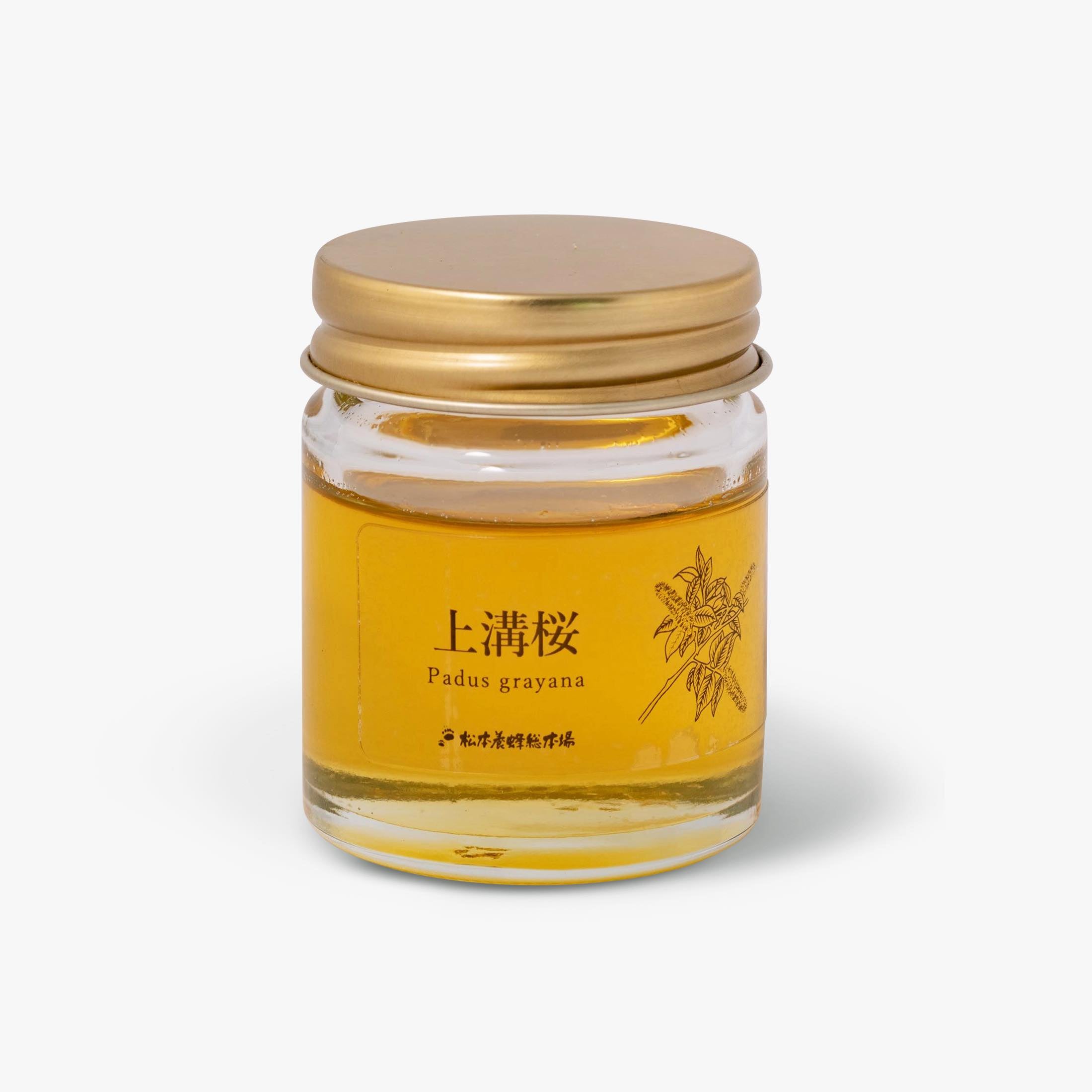 森の時間を味わう特別な国産はちみつギフトセット